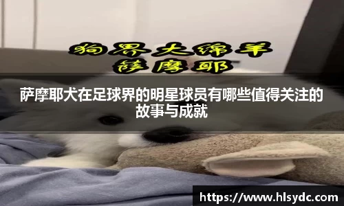 萨摩耶犬在足球界的明星球员有哪些值得关注的故事与成就